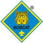 Bobcat