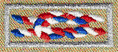 Eagle Scout with NESA Life Membership
