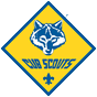 Cub Scouts