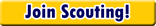 Join Scouts